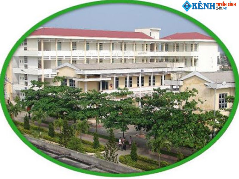 Trường Cao Đẳng Điện Lực Miền Trung Tuyển Sinh Năm 2023